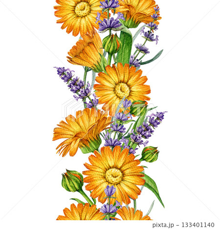 Lavender and calendula flowers seamless border decor element watercolor illustration. Hand drawn fresh calendula flowers with lavender stems floral decoration element isolated on white background 133401140