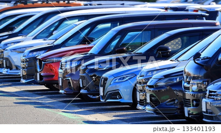 駐車場に並んだ乗用車 駐車場に並んだ乗用車 133401193