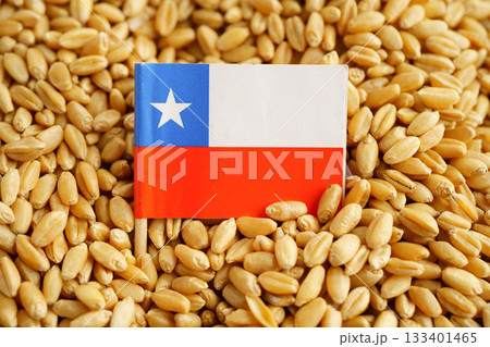 Chile flag on grain wheat, trade export and economy concept. 133401465