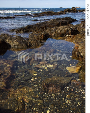 志摩半島の最南端の麦埼の潮だまり 志摩半島の最南端の麦埼の潮だまり 133401628