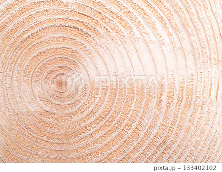 Growth rings of a spruce tree, horizontal cross section, and cut through the dried trunk of a spruce tree, Picea abies, showing annual or tree rings. A new layer of wood is added every year. Photo 133402102