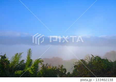 朝霧と雲海に包まれる安曇野【北安曇郡池田町】 133402138