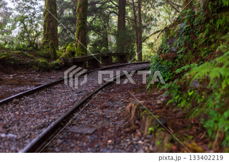 宜蘭 台湾 汽車道 133402219