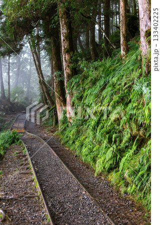 宜蘭 台湾 汽車道 133402225
