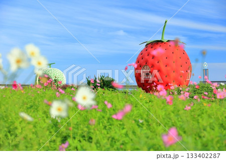 【長崎県】イチゴとメロンのフルーツバス停（井崎） 133402287