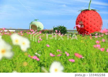 【長崎県】イチゴとメロンのフルーツバス停（井崎） 133402288
