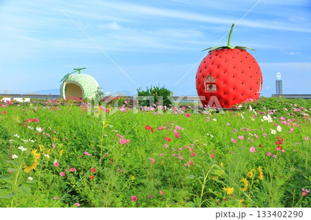 【長崎県】イチゴとメロンのフルーツバス停(井崎) 【長崎県】イチゴとメロンのフルーツバス停(井崎) 133402290