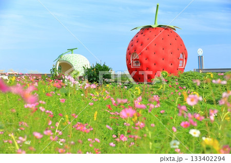 【長崎県】イチゴとメロンのフルーツバス停(井崎) 【長崎県】イチゴとメロンのフルーツバス停(井崎) 133402294