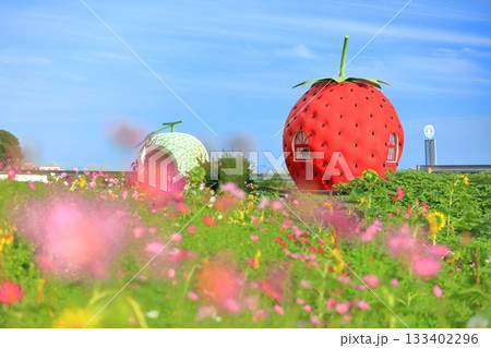 【長崎県】イチゴとメロンのフルーツバス停(井崎) 【長崎県】イチゴとメロンのフルーツバス停(井崎) 133402296