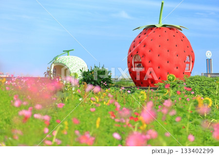 【長崎県】イチゴとメロンのフルーツバス停（井崎） 133402299