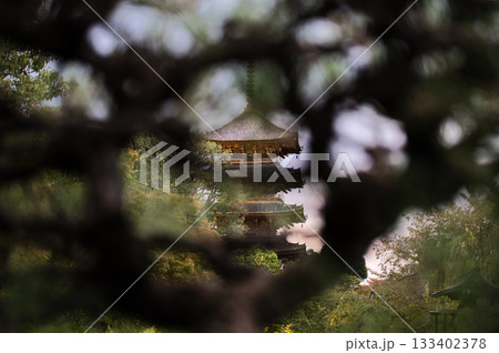 京都 東寺・Toji, Kyoto 異例の朝照明に照らされた早朝の東寺 京都 東寺・Toji, Kyoto 異例の朝照明に照らされた早朝の東寺 133402378