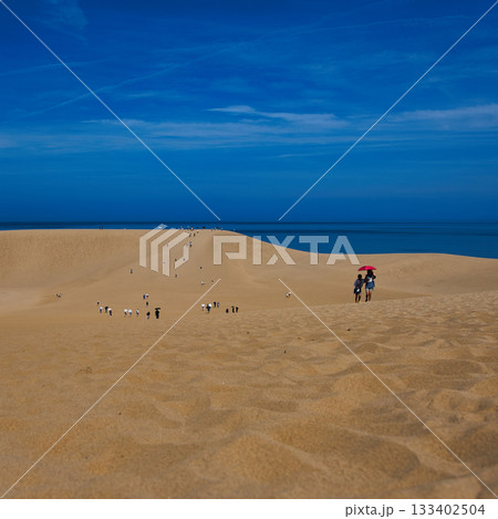 鳥取砂丘；Tottori Dune, Tottori 133402504