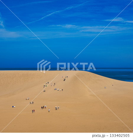 鳥取砂丘；Tottori Dune, Tottori 133402505