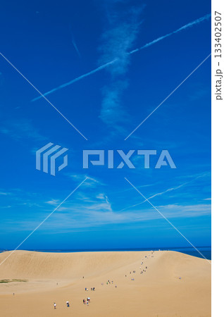 鳥取砂丘；Tottori Dune, Tottori 133402507