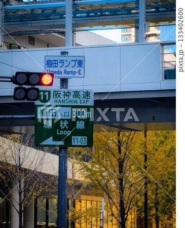 大阪市の交通標識の案内板と銀杏の黄葉 133402600
