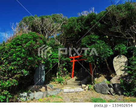 志摩半島最南端 麦崎神社の鳥居 志摩半島最南端 麦崎神社の鳥居 133402654