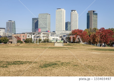 名古屋市、秋の米野公園の風景 133403497