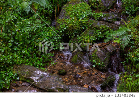 台湾 宜蘭 渓流 133403848