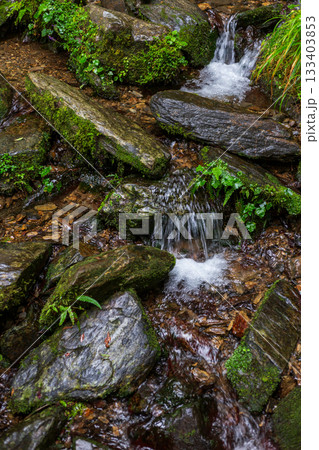 台湾 宜蘭 渓流 133403853