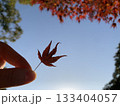 もみじと青空 133404057