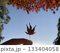 紅葉を持つ手 133404058