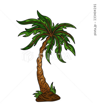 Palm tree. Summer beach green tropical plant, leaf, exotic nature coconut bright exotic object. Botanical decorative landscape design element. Vector cartoon isolated rainforest greenery illustration 133404191