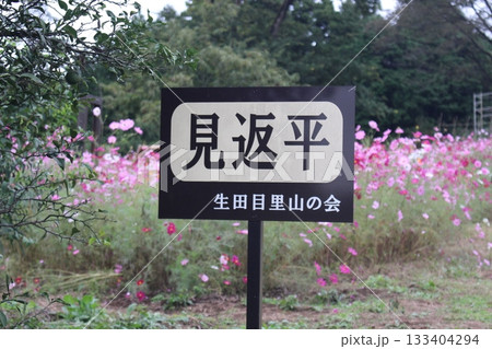 生田目散策路 133404294