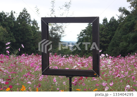 生田目散策路 133404295