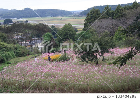 生田目散策路 133404298