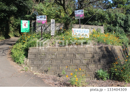 生田目散策路 生田目散策路 133404309