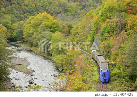 紅葉する川沿いを走るキハ283系の特急『オホーツク』 133404429