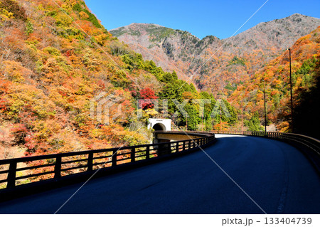 青崖トンネル周辺を望む(山梨県早川町)【2025.11】 133404739