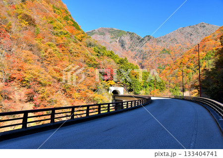 青崖トンネル周辺を望む(山梨県早川町)【2025.11】 青崖トンネル周辺を望む(山梨県早川町)【2025.11】 133404741