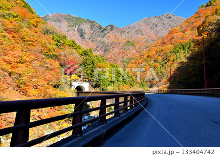 青崖トンネル周辺を望む(山梨県早川町)【2025.11】 133404742