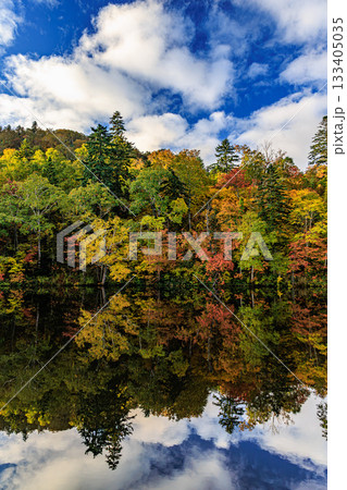 静寂の湖に映る秋彩と森の風景 133405035