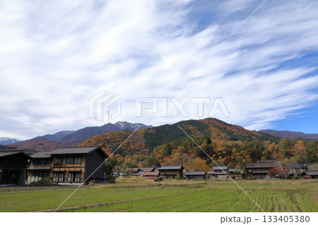 秋の紅葉 白川郷 合掌造り集落 ( 岐阜県 白川村 ) 133405380