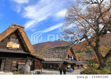 秋の紅葉 白川郷 合掌造り集落 ( 岐阜県 白川村 ) 秋の紅葉 白川郷 合掌造り集落 ( 岐阜県 白川村 ) 133405390