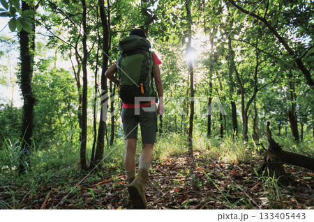 wWoman hiker hiking on forest trail wWoman hiker hiking on forest trail 133405443