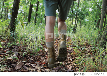 wWoman hiker hiking on forest trail wWoman hiker hiking on forest trail 133405444