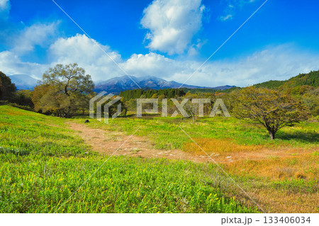 紅葉の始まった美しい木々と日光連山の風景 133406034