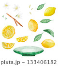Watercolor lemons, leaves and flowers with branch isolated illustration set. Simple citrus fruits clip art for summer. 133406182