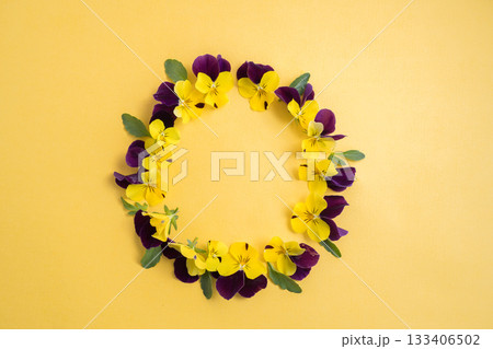 Spring flowers, purple, and yellow pansy flowers circle shape on yellow background 133406502