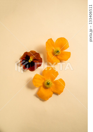 Set of spring garden flowers, yellow, orange flower composition Set of spring garden flowers, yellow, orange flower composition 133406511