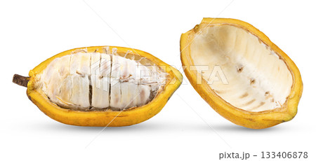 Cocoa fruit  isolated on white background ( image from camera ) 133406878