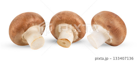 Fresh champignon mushrooms isolated on white background ( image from camera ) Fresh champignon mushrooms isolated on white background ( image from camera ) 133407136