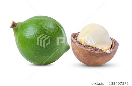 macadamia nuts with leaf isolated on white background. 133407872