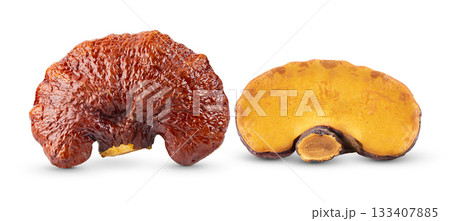 Lingzhi Mushroom Ganoderma Lucidum on white background Lingzhi Mushroom Ganoderma Lucidum on white background 133407885