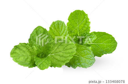 mint isolated on white background mint isolated on white background 133408078