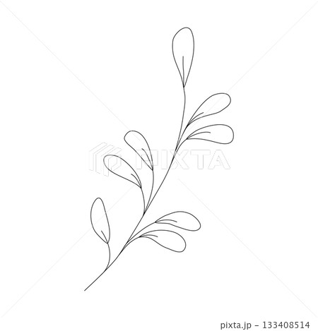 Twig with leaves graphic element. Doodle minimalist style black icon. Hand drawn illustration. Outline template for greeting card, simple logo, cute decorations, invitations, cosmetic designs, gifts. 133408514