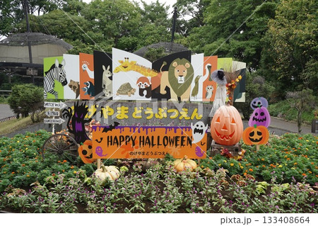 日本の横浜の動物園 133408664